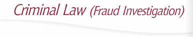 Criminal Law (Fraud Investigation)